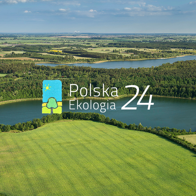 aplikacje mobilne